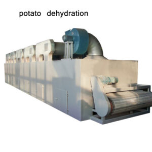 potato dehydration plant