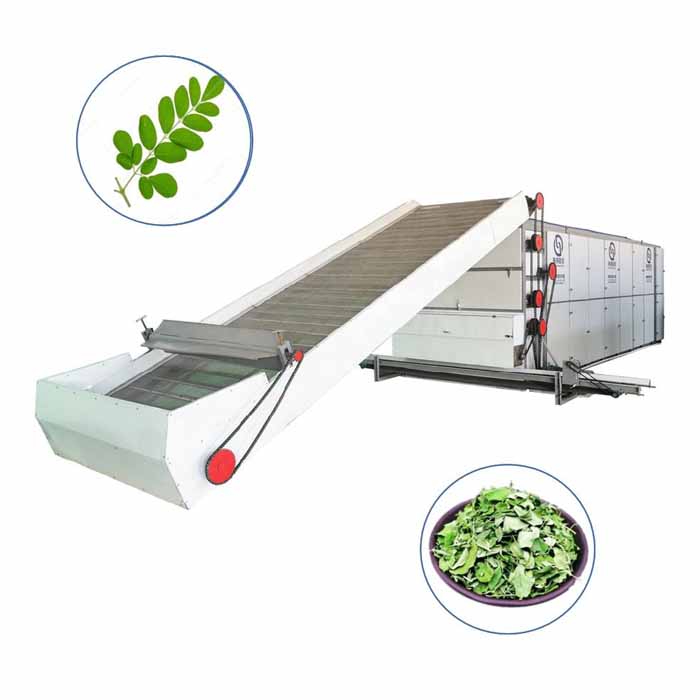 Moringa leaf seed multi layers belt automatic dryer machine