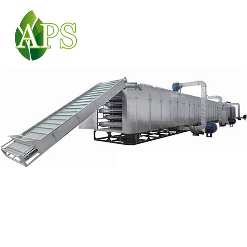 white radish dryer machine Belt type continue